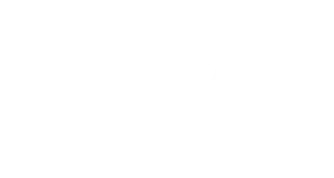 YSC
