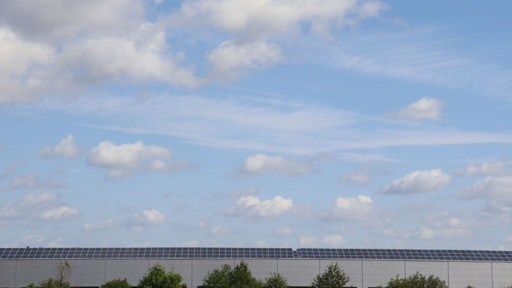 A large commercial warehouse roof covered in solar panels