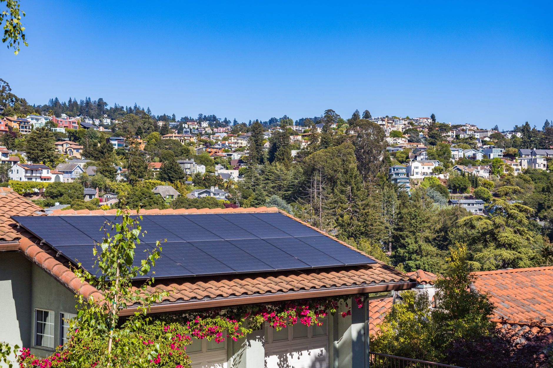 solar case studies - Uprise Digital